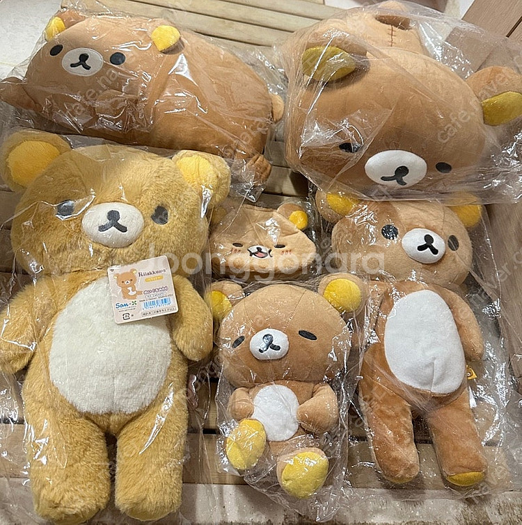 산엑스 리락쿠마, 코리락쿠마, 챠이로이코구마, 키이로이...--1