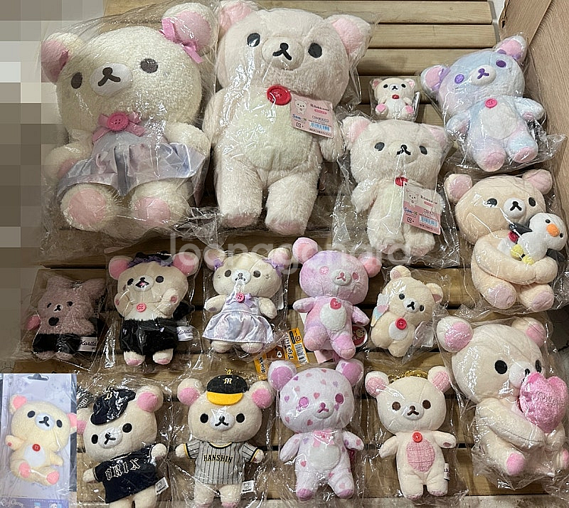 산엑스 리락쿠마, 코리락쿠마, 챠이로이코구마, 키이로이...--2