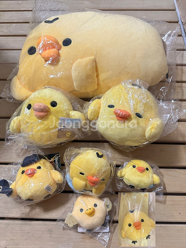 산엑스 리락쿠마, 코리락쿠마, 챠이로이코구마, 키이로이...--5