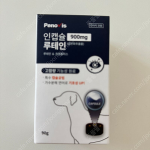 강아지 눈영양제 동물병원전용 제품