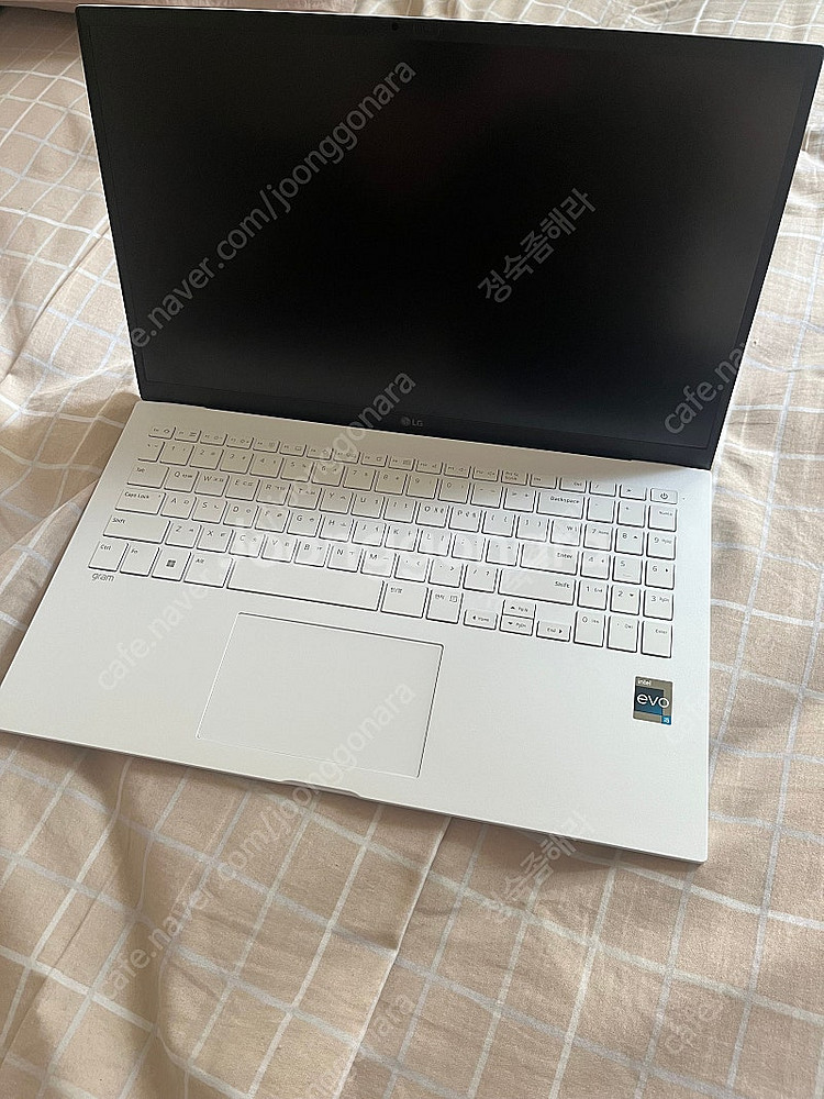 lg그램 15인치 15Z90R-GA56K--1