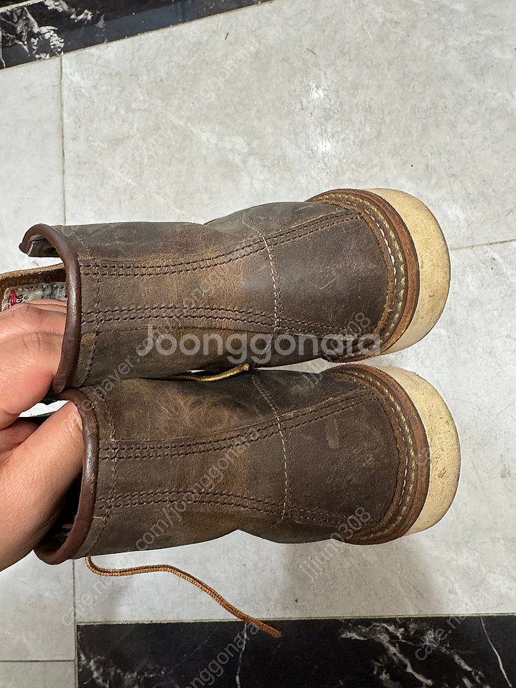 래드윙 8883 280--1
