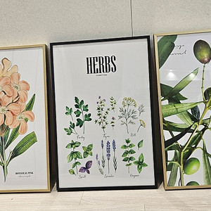 인테리어 예쁜 식물액자 팝니다.