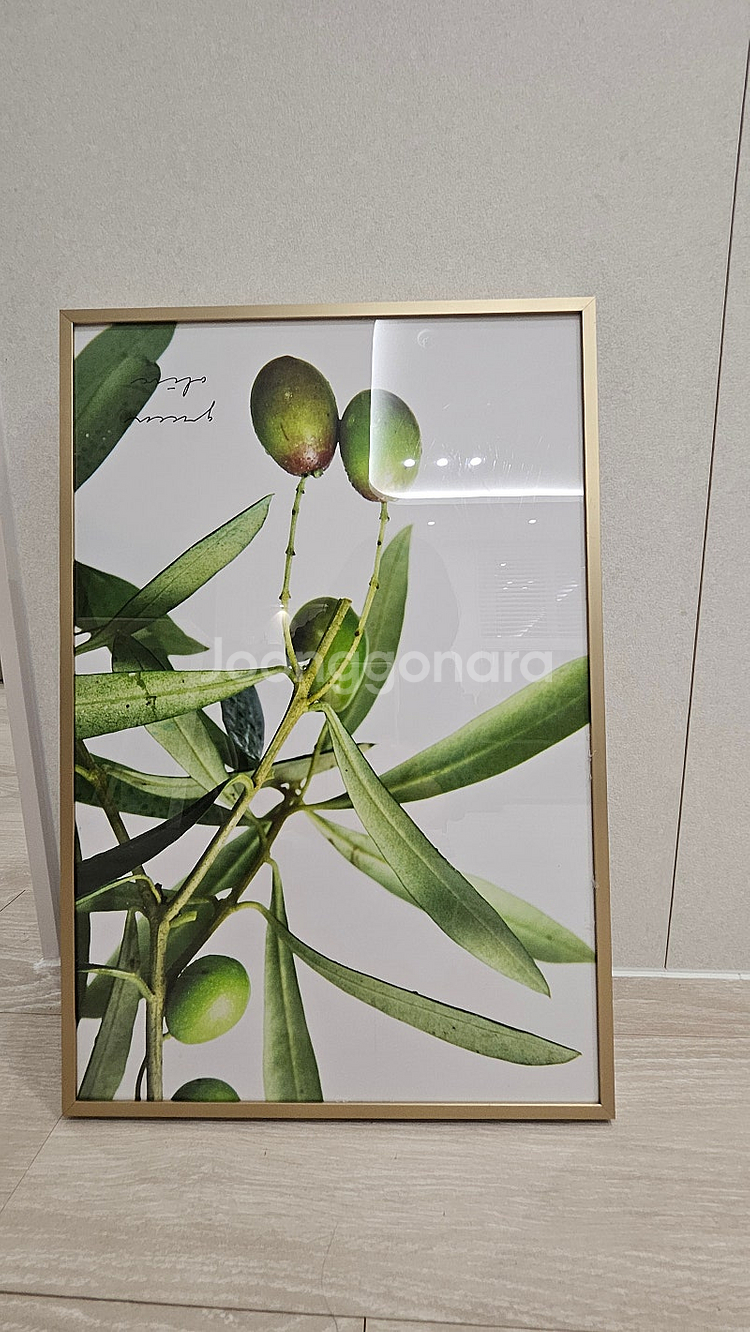 인테리어 예쁜 식물액자 팝니다.--1