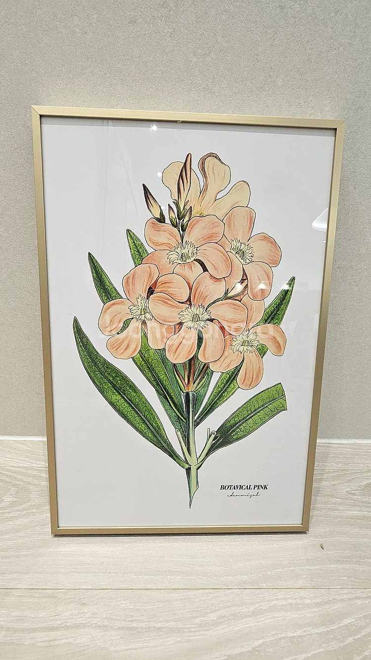 인테리어 예쁜 식물액자 팝니다.--3