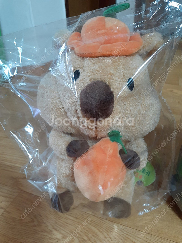 인형 귀여워요 예쁜니다 편하게 보세요 세트 15000원...--1