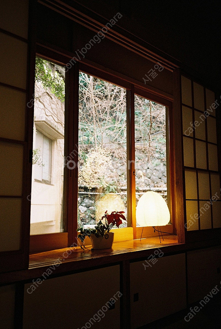 야시카 T4 필름카메라--0