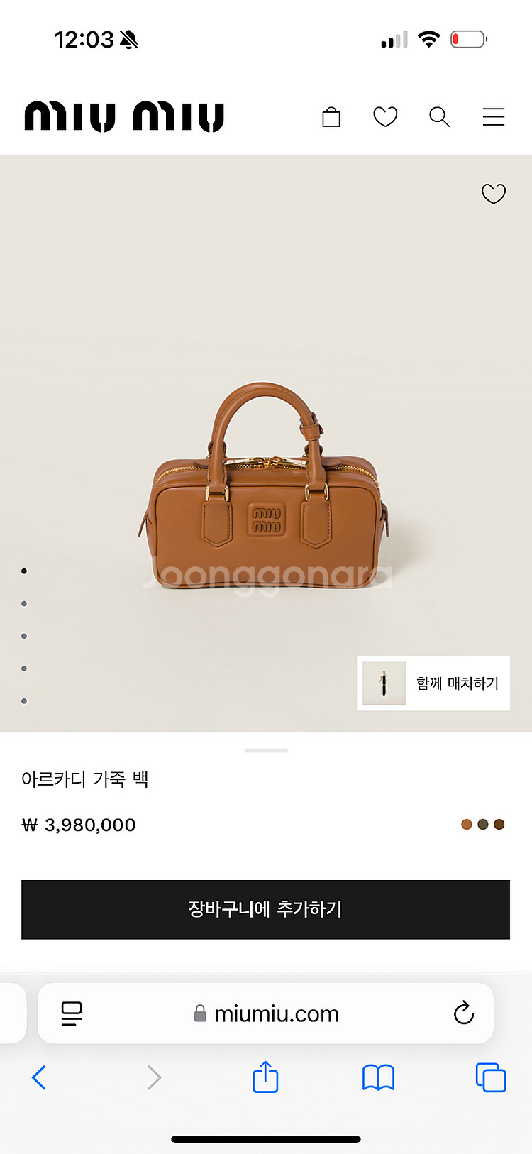 미우미우 아르카디 스몰 꼬냑 팝니다--0