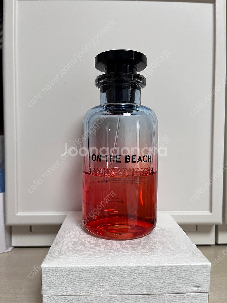 루이비통 온더비치 100ml--0