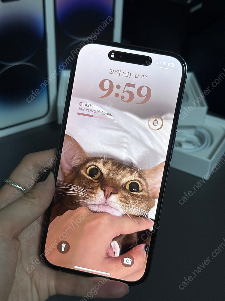 아이폰14프로 퍼플 128 풀박스--5