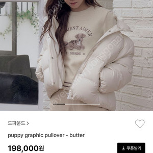 드파운드 니트 puppy graphic pullover - butter