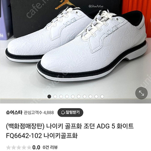 나이키 조던 골프화 adg5 290mm