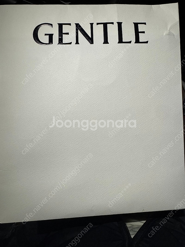 젠틀몬스터 랭 선글라스--0