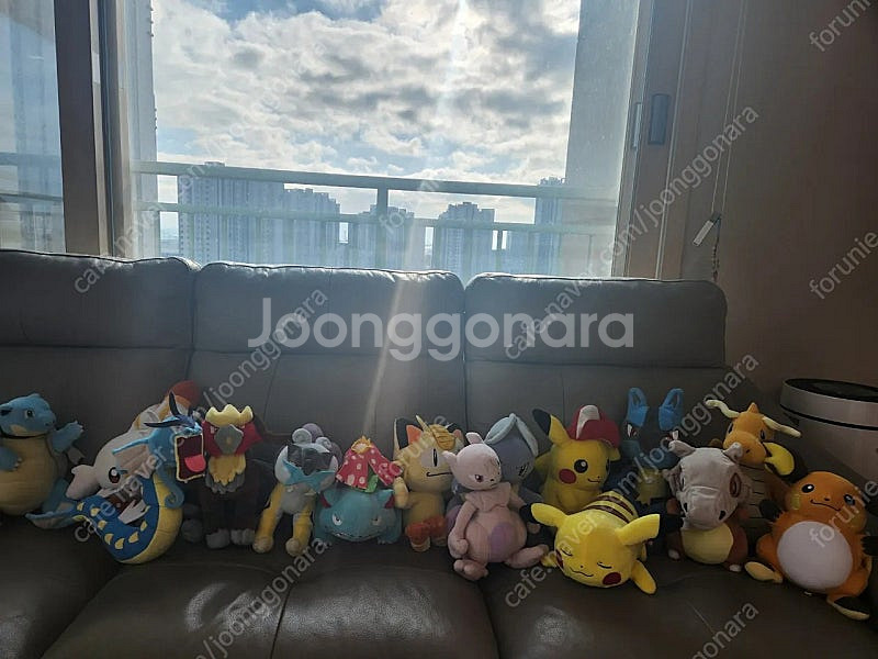 인형 포켓몬스터 강아지 전설 환상등--1