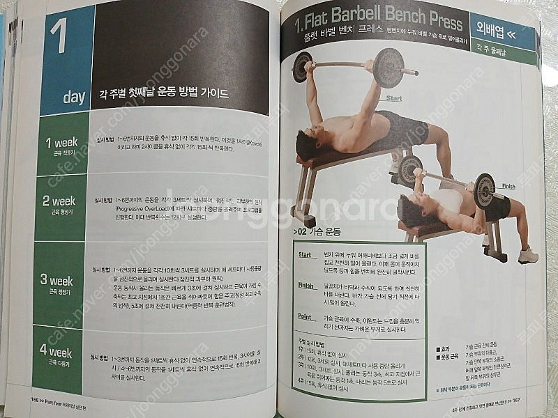 중고책 도서 운동가이드 남자 몸 만들기 4주 혁명--4
