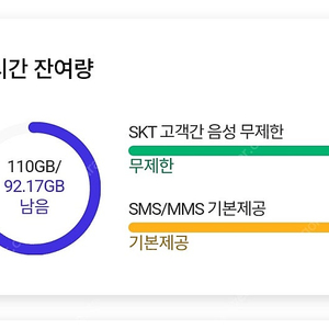 skt 데이터 2기가