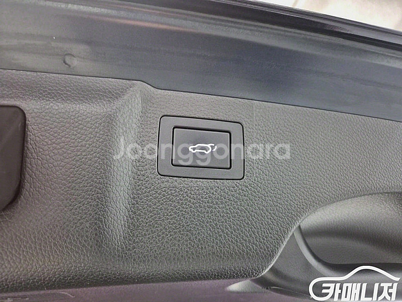 현대 [현대]더뉴맥스크루즈 E-VGT R2.2 2WD ...--5