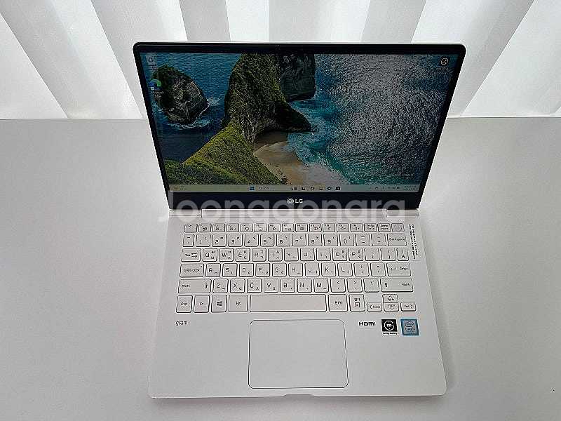 LG전자 그램 13인치 13ZD980-GX50K (SS...--2