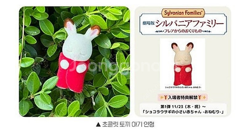 실바니안 패밀리 극장판 1주차 초콜릿 토끼 아기인형 파...--2