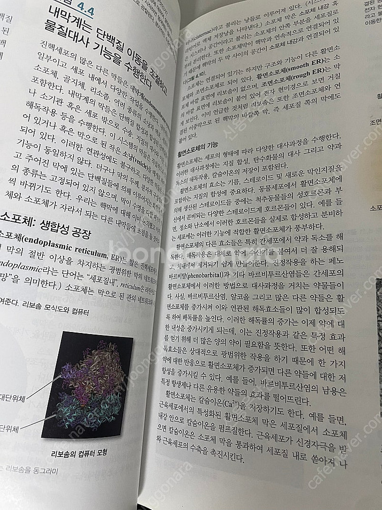 약학대학 책 팝니다 (생약학.물리약학) 가격ㅡ내용속--1