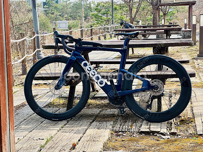 ceepo viper 20주년 완차 트라이에슬론 로드자...--1
