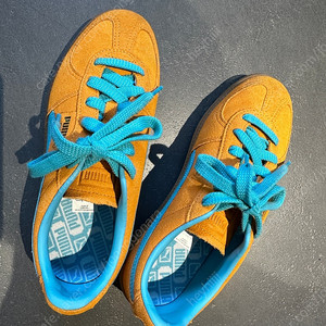 푸마 팔레르모 240사이즈