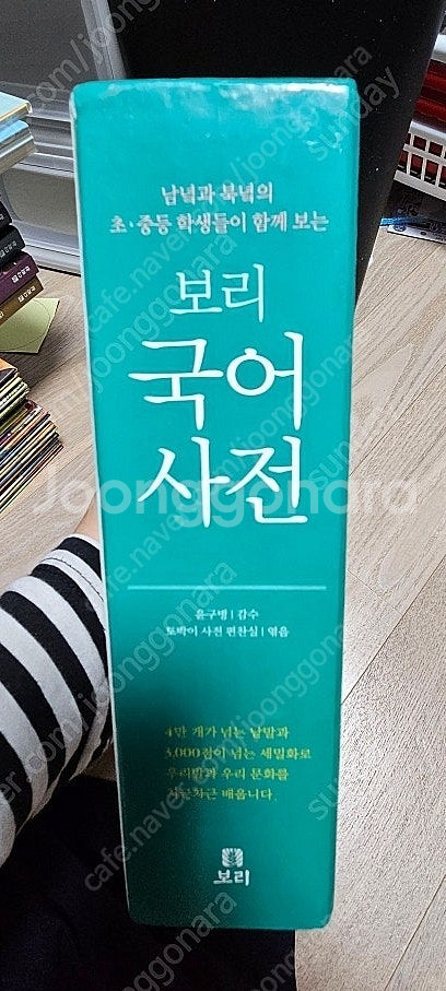 보리국어사전--1