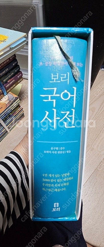 보리국어사전--2