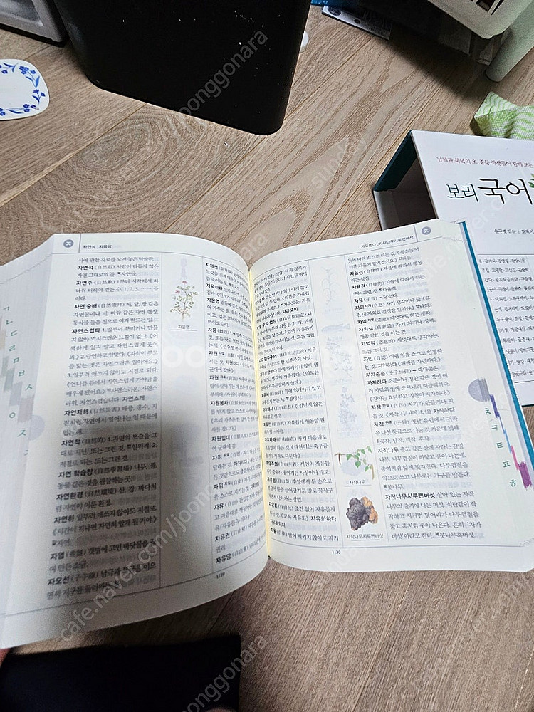보리국어사전--3