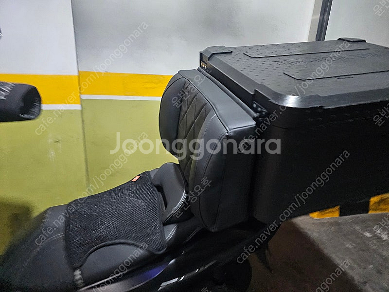 24년식 pcx125--1