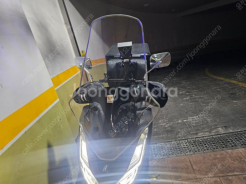24년식 pcx125--6