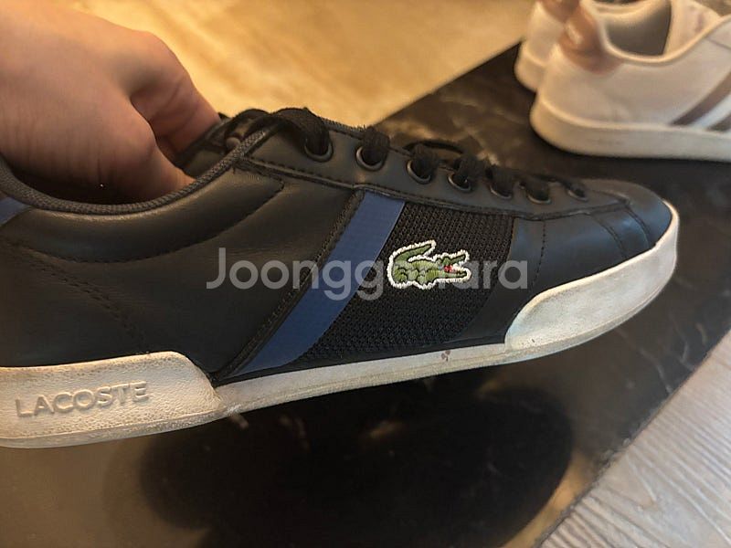 운동화 250 라코스테 아디다스 남성여성 공용운동화--6