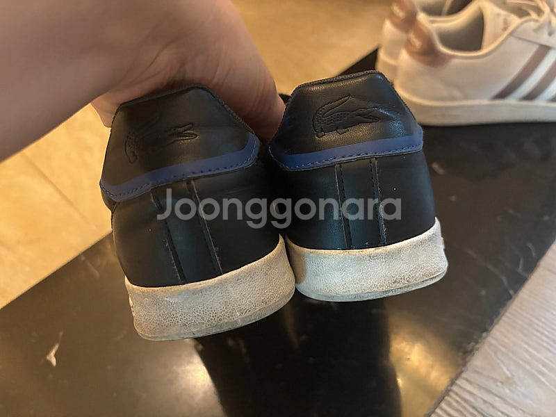 운동화 250 라코스테 아디다스 남성여성 공용운동화--7