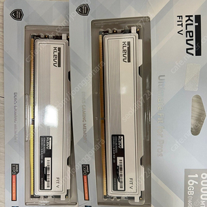 에센코어 KLEVV DDR5-6000 CL32 FIT V (16GB) x 2