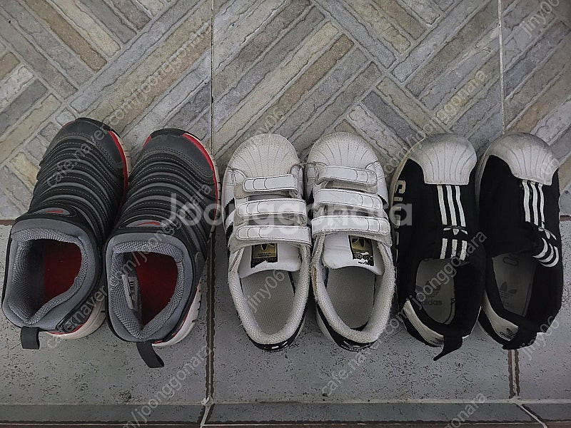 남아 180사이즈 신발 일괄(나이키 다이나모, 아디다스 슈퍼스타)--0