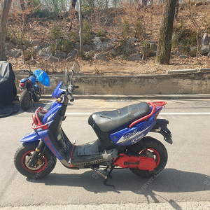 비위즈100