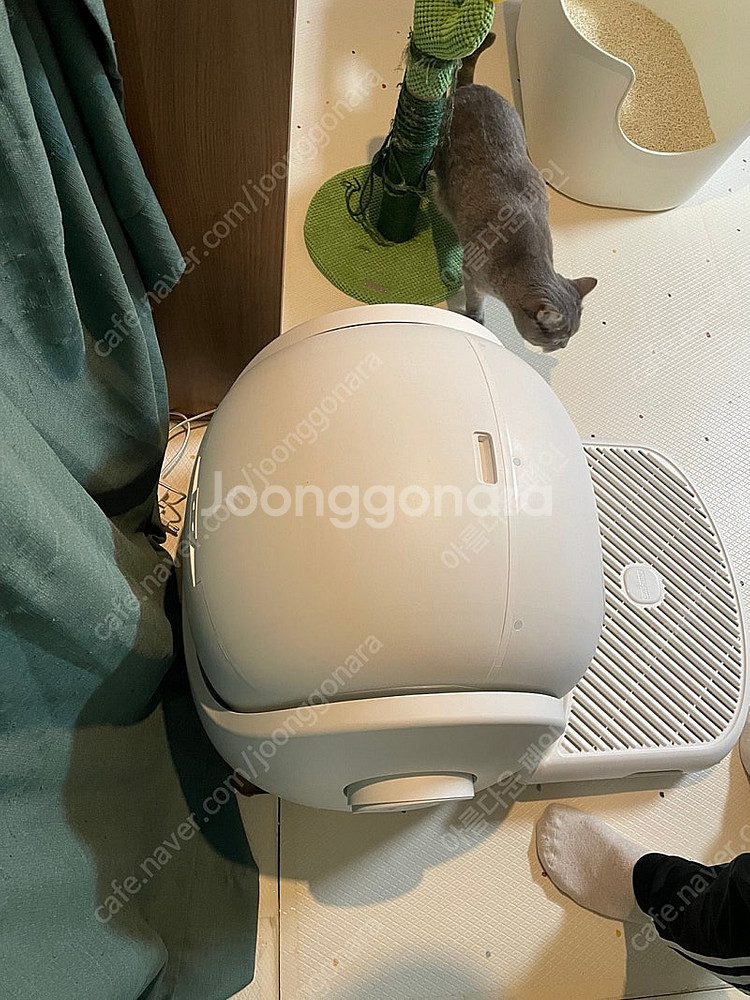 고양이 자동화장실 캣링크 SE 와이파이--4