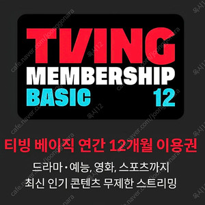 티빙 베이직 12개월 쿠폰