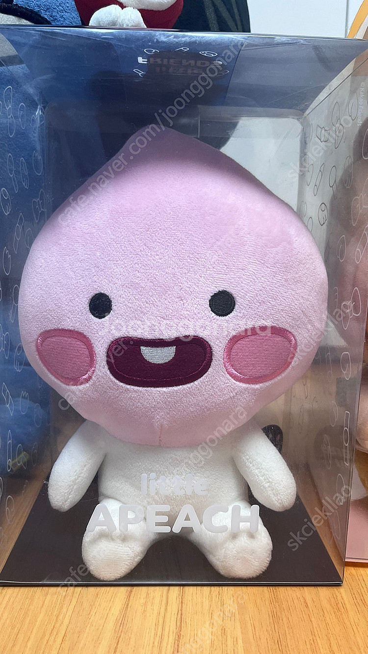 카카오프렌즈 제주 라이언 인형--2