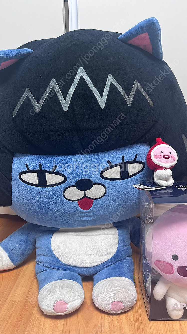카카오프렌즈 제주 라이언 인형--5