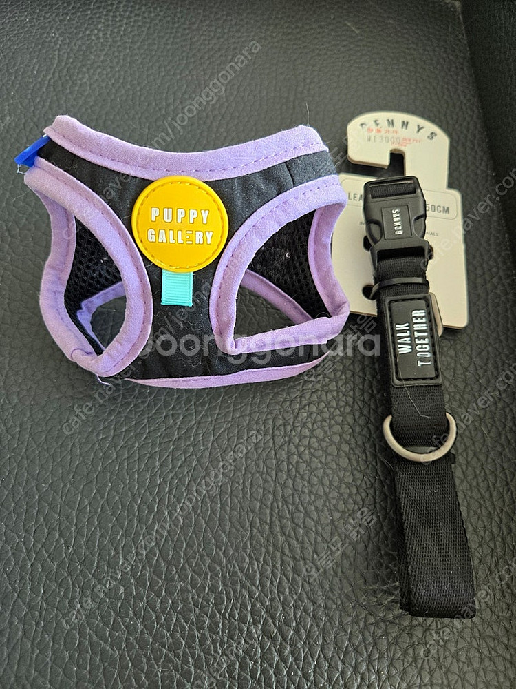 하네스(xs),베니스 리드줄 세트팝니다.--0