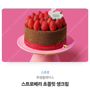 투썸플레이스 투썸 스트로베리 초콜릿 생크림 케이크 스초생 판매합니다.