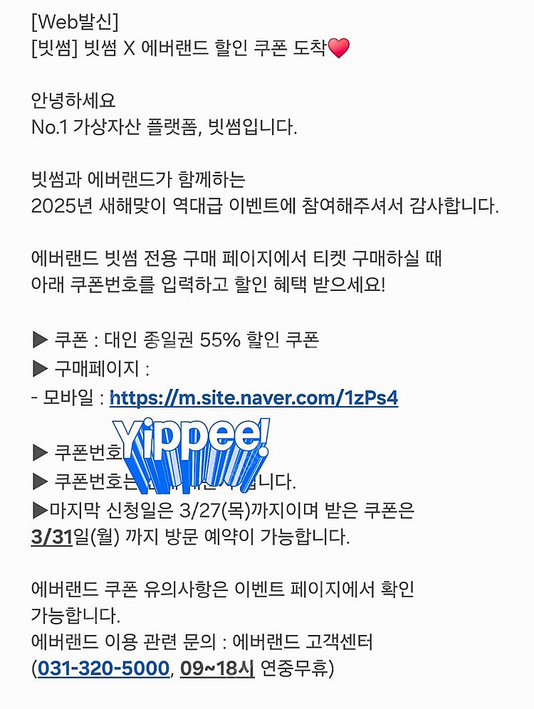 빗썸 에버랜드 쿠폰 판매 솜미포함--0