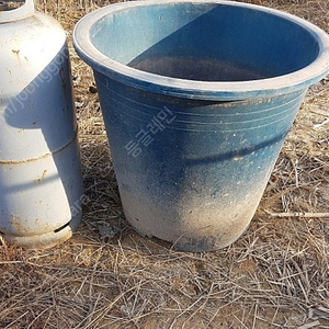 대형 고무 화분 , 블루베리 화분 , 대형화분 , 나무화분 , 고무화분
