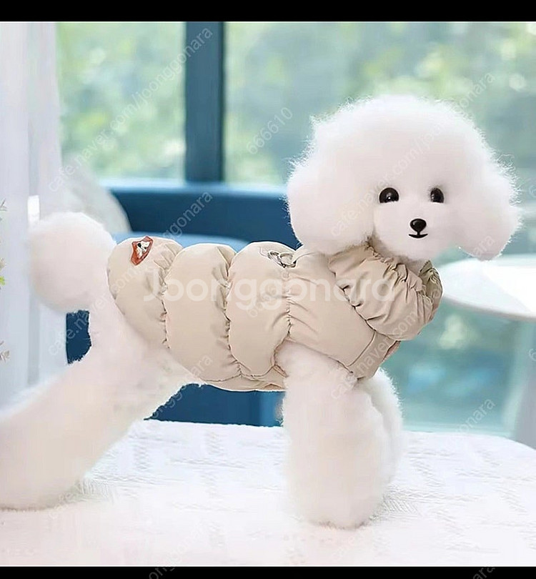 강아지 패딩 S사이즈--5