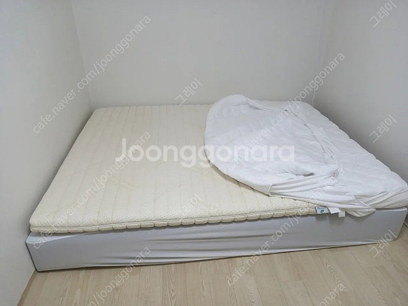 천연라텍스 게타--1