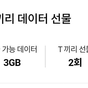 skt 데이터 2기가