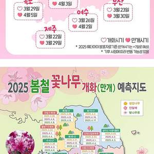 롯데 면세점 제휴포인트 3달러 단돈 100원에팜