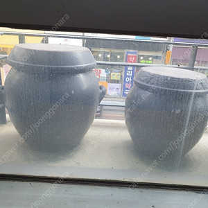 작은 항아리 새거