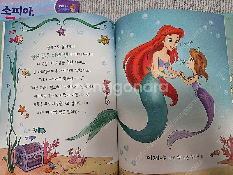 애플비) 리틀프린세스 소피아 동화책 2권 일괄판매--3